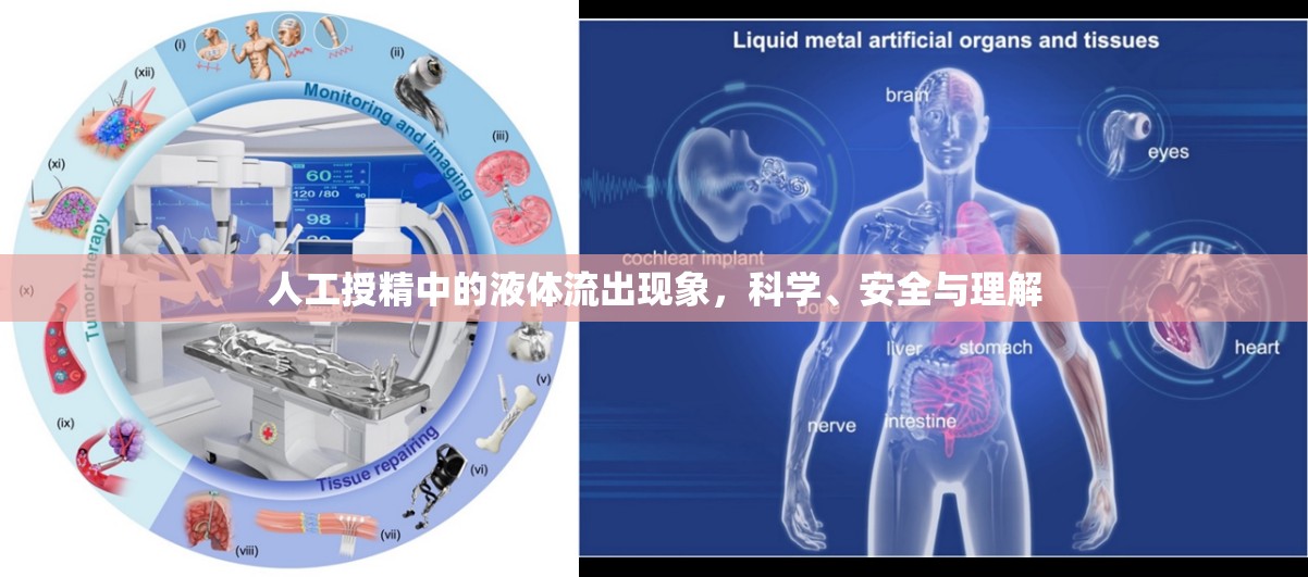 人工授精中的液體流出現(xiàn)象，科學(xué)、安全與理解