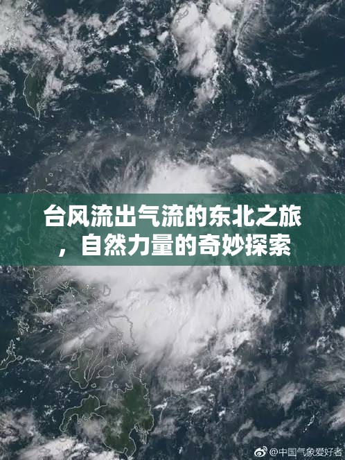 臺(tái)風(fēng)流出氣流的東北之旅，自然力量的奇妙探索