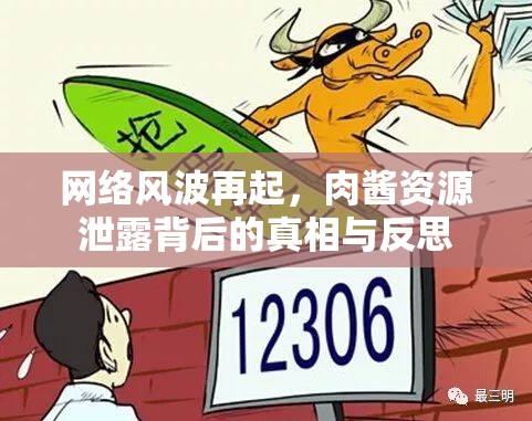 網(wǎng)絡(luò)風(fēng)波再起，肉醬資源泄露背后的真相與反思