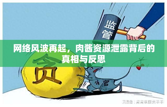 網(wǎng)絡(luò)風(fēng)波再起，肉醬資源泄露背后的真相與反思