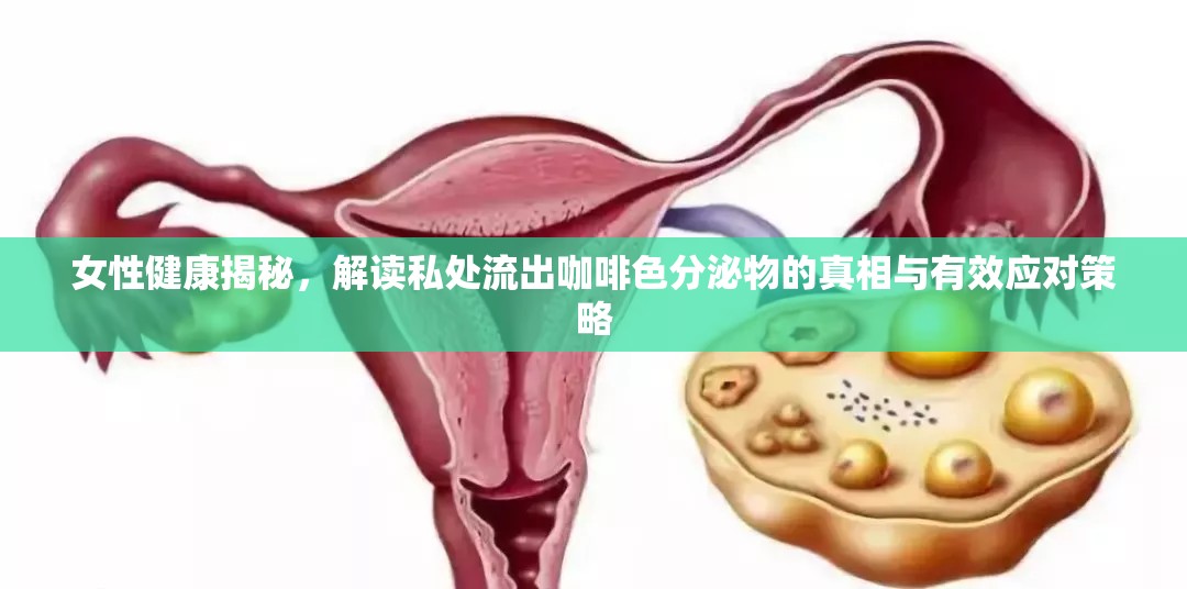 女性健康揭秘，解讀私處流出咖啡色分泌物的真相與有效應對策略