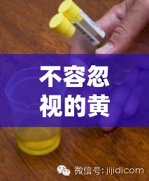 不容忽視的黃色液體，揭秘其背后的健康警示