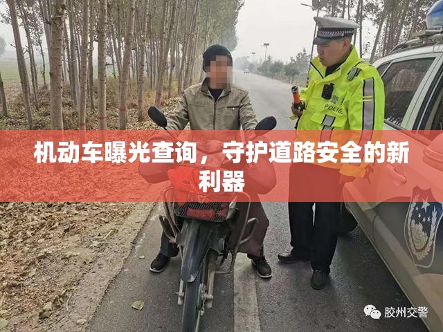 機(jī)動(dòng)車曝光查詢，守護(hù)道路安全的新利器