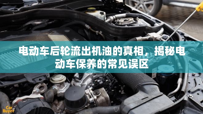 電動車后輪流出機油的真相，揭秘電動車保養(yǎng)的常見誤區(qū)