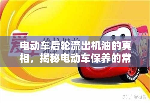 電動車后輪流出機油的真相，揭秘電動車保養(yǎng)的常見誤區(qū)