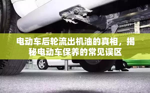 電動車后輪流出機油的真相，揭秘電動車保養(yǎng)的常見誤區(qū)