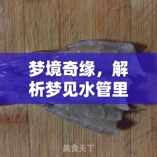 夢境奇緣，解析夢見水管里流出來好多蝦的深層含義