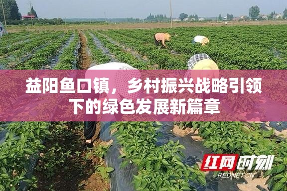 益陽(yáng)魚(yú)口鎮(zhèn)，鄉(xiāng)村振興戰(zhàn)略引領(lǐng)下的綠色發(fā)展新篇章