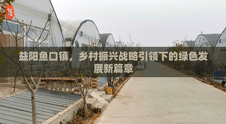 益陽(yáng)魚(yú)口鎮(zhèn)，鄉(xiāng)村振興戰(zhàn)略引領(lǐng)下的綠色發(fā)展新篇章