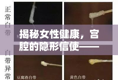 揭秘女性健康，宮腔的隱形信使——白帶的來(lái)源