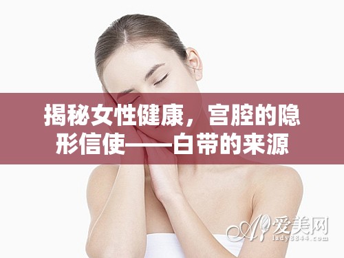 揭秘女性健康，宮腔的隱形信使——白帶的來(lái)源