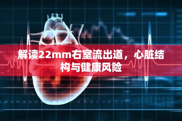 解讀22mm右室流出道，心臟結構與健康風險