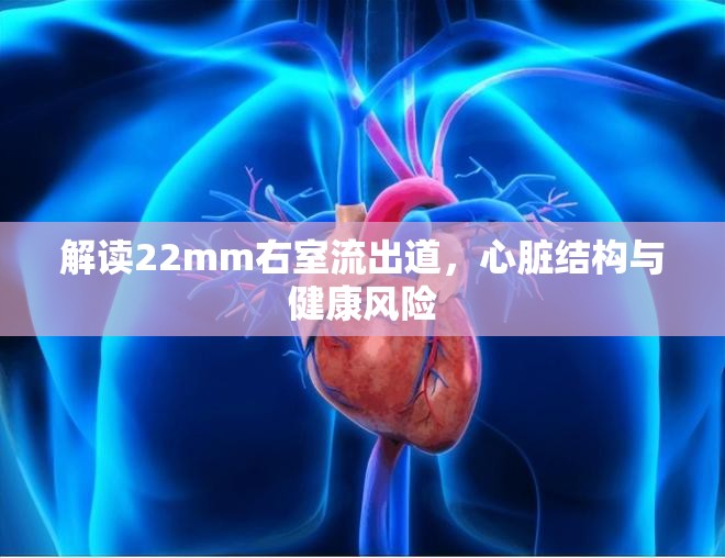 解讀22mm右室流出道，心臟結構與健康風險