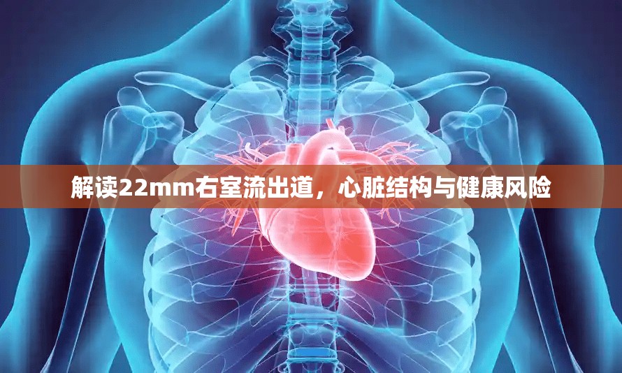 解讀22mm右室流出道，心臟結構與健康風險