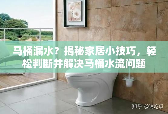 馬桶漏水？揭秘家居小技巧，輕松判斷并解決馬桶水流問題