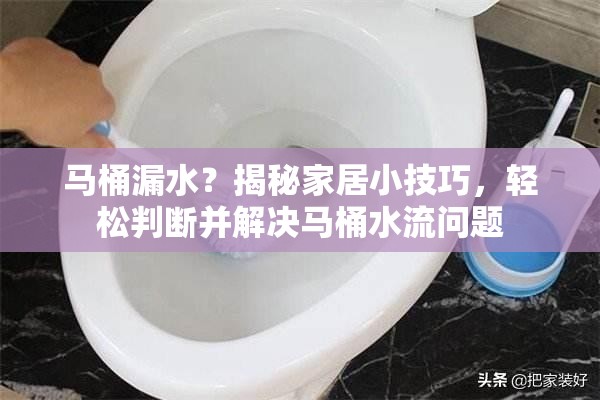 馬桶漏水？揭秘家居小技巧，輕松判斷并解決馬桶水流問題