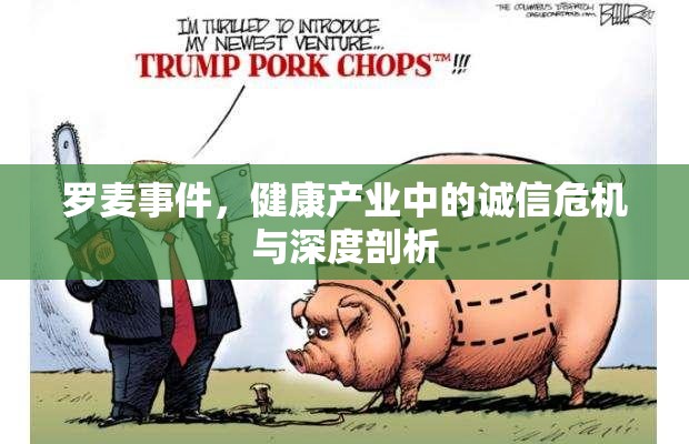 羅麥?zhǔn)录】诞a(chǎn)業(yè)中的誠(chéng)信危機(jī)與深度剖析