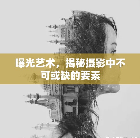 曝光藝術(shù)，揭秘?cái)z影中不可或缺的要素