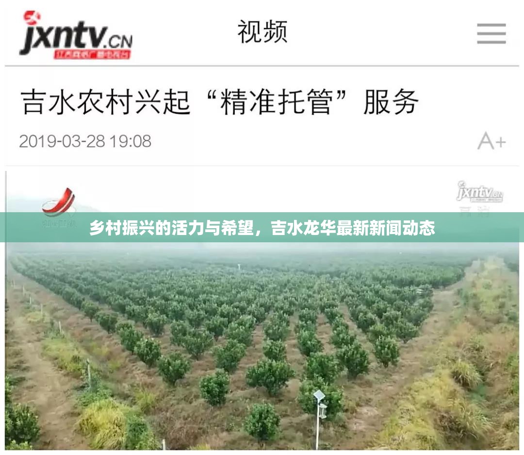 鄉(xiāng)村振興的活力與希望，吉水龍華最新新聞動(dòng)態(tài)