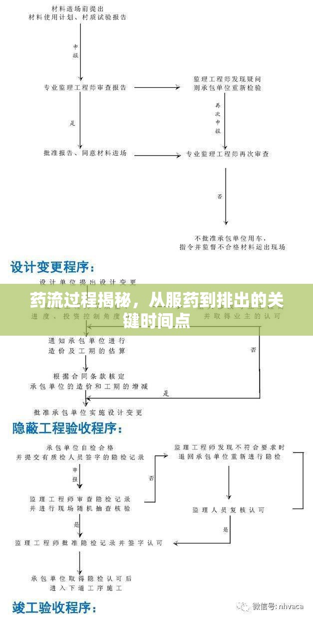 藥流過(guò)程揭秘，從服藥到排出的關(guān)鍵時(shí)間點(diǎn)