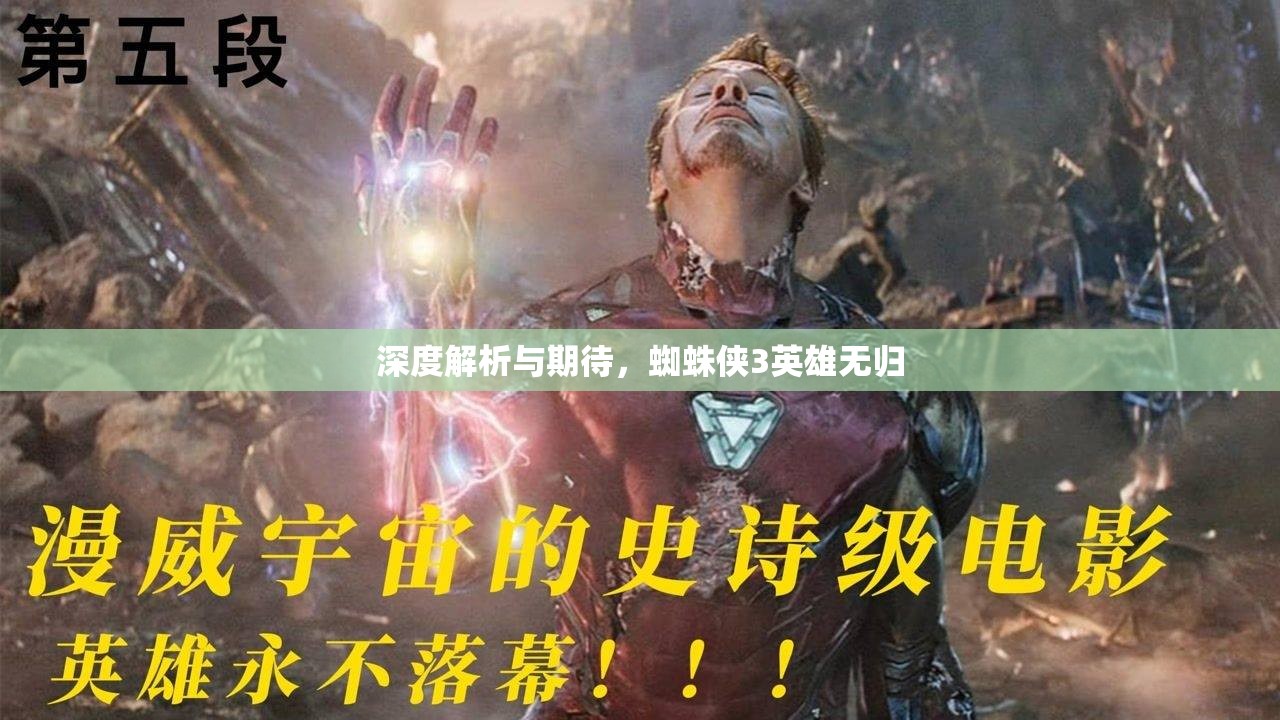 深度解析與期待，蜘蛛俠3英雄無歸