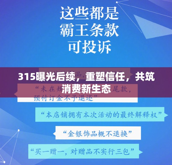 315曝光后續(xù)，重塑信任，共筑消費(fèi)新生態(tài)