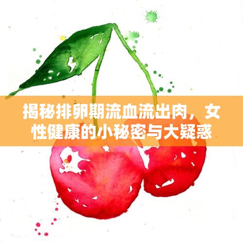 揭秘排卵期流血流出肉，女性健康的小秘密與大疑惑