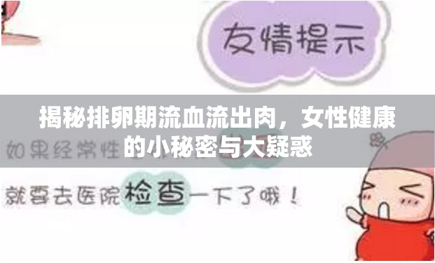 揭秘排卵期流血流出肉，女性健康的小秘密與大疑惑