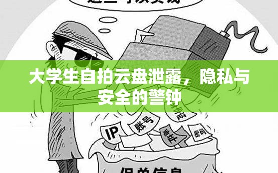 大學(xué)生自拍云盤泄露，隱私與安全的警鐘