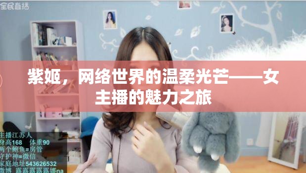 紫姬，網(wǎng)絡(luò)世界的溫柔光芒——女主播的魅力之旅