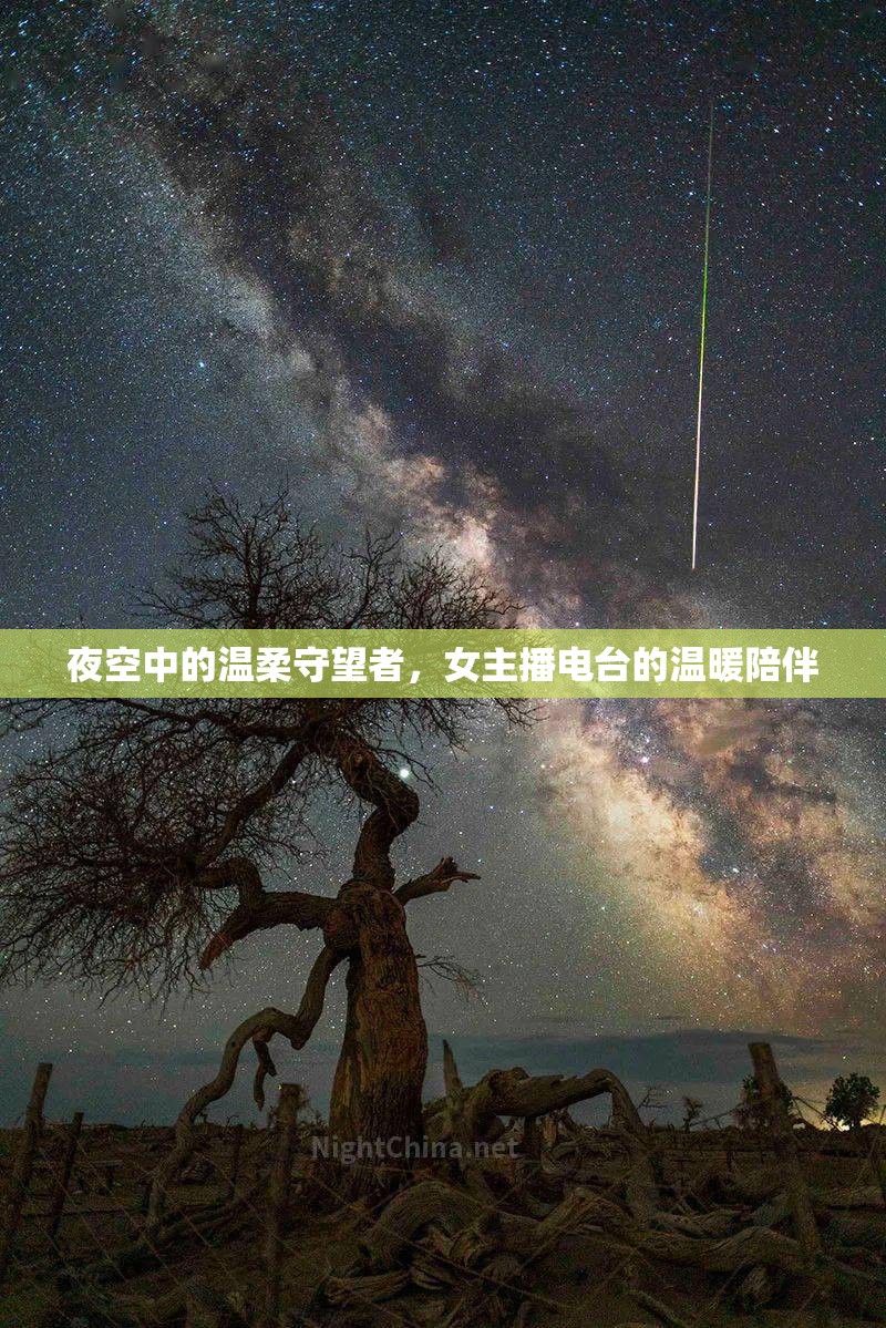 夜空中的溫柔守望者，女主播電臺(tái)的溫暖陪伴