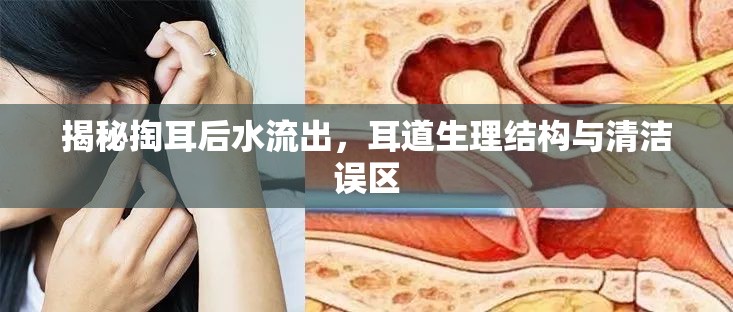 揭秘掏耳后水流出，耳道生理結(jié)構與清潔誤區(qū)