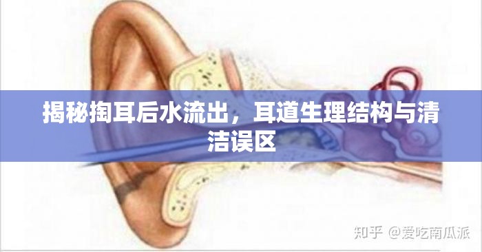 揭秘掏耳后水流出，耳道生理結(jié)構與清潔誤區(qū)