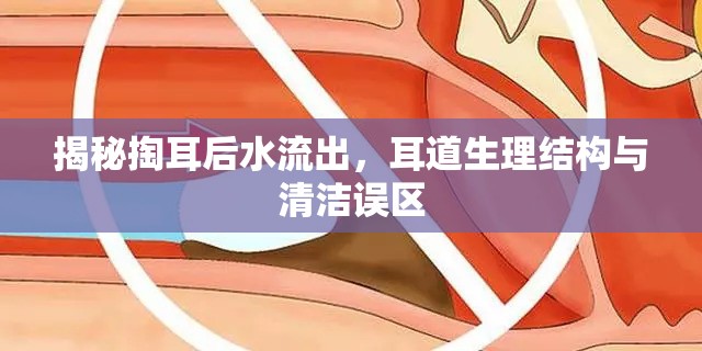 揭秘掏耳后水流出，耳道生理結(jié)構與清潔誤區(qū)