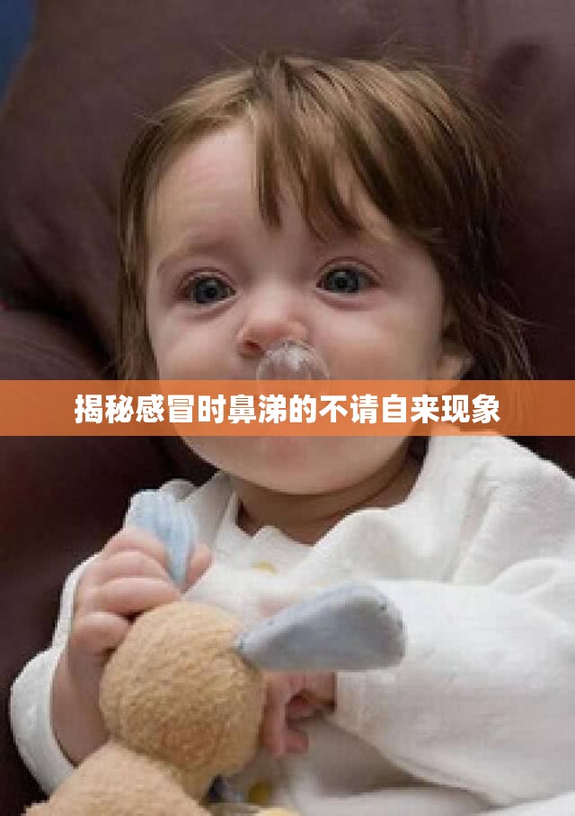 揭秘感冒時鼻涕的不請自來現(xiàn)象