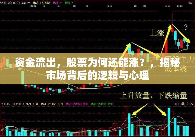 資金流出，股票為何還能漲？，揭秘市場(chǎng)背后的邏輯與心理