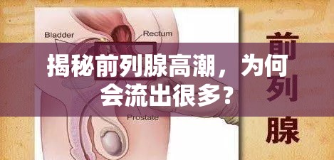揭秘前列腺高潮，為何會流出很多？