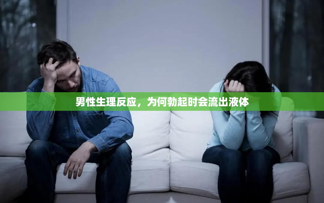 男性生理反應(yīng)，為何勃起時(shí)會(huì)流出液體