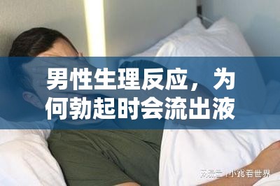 男性生理反應(yīng)，為何勃起時(shí)會(huì)流出液體