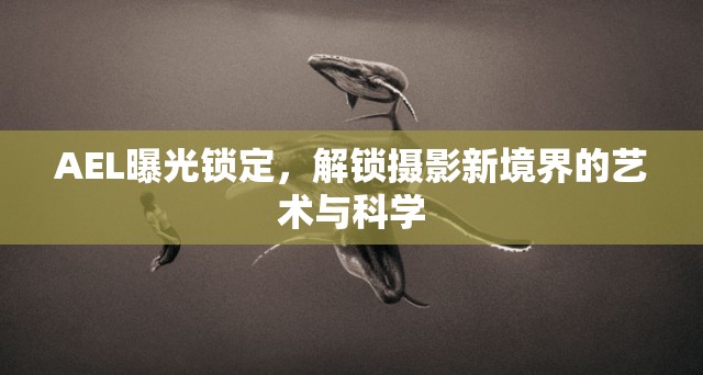 AEL曝光鎖定，解鎖攝影新境界的藝術(shù)與科學(xué)