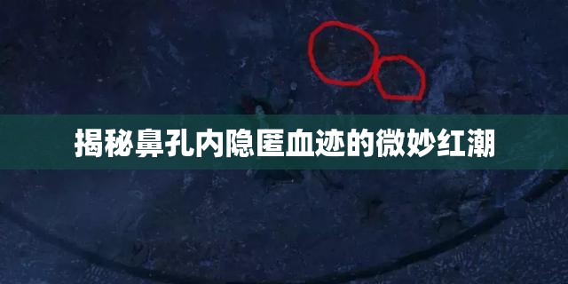 揭秘鼻孔內(nèi)隱匿血跡的微妙紅潮