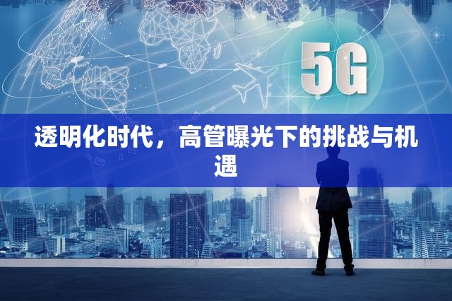 透明化時(shí)代，高管曝光下的挑戰(zhàn)與機(jī)遇
