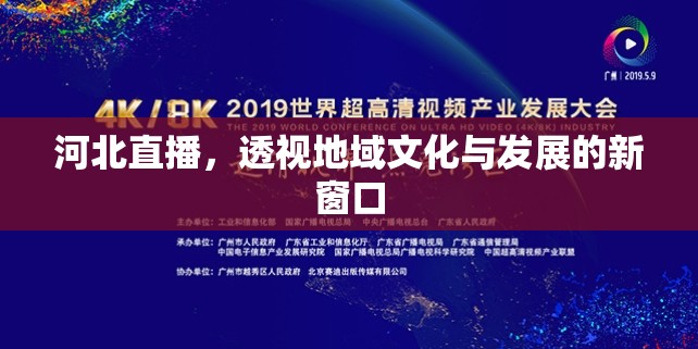 河北直播，透視地域文化與發(fā)展的新窗口