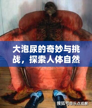 大泡尿的奇妙與挑戰(zhàn)，探索人體自然現(xiàn)象的奧秘