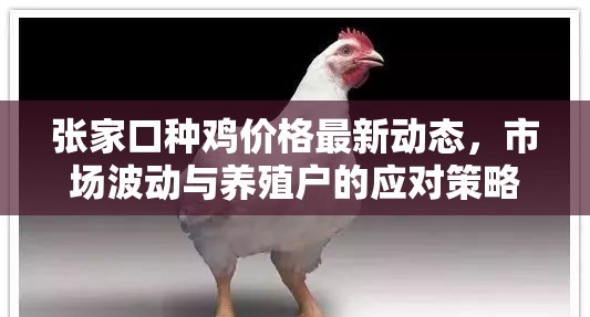 張家口種雞價(jià)格最新動態(tài)，市場波動與養(yǎng)殖戶的應(yīng)對策略