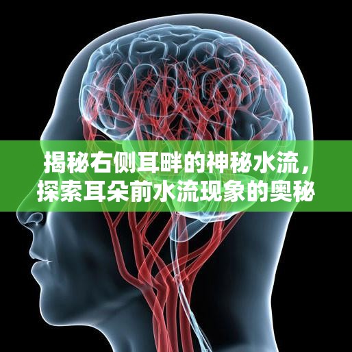 揭秘右側(cè)耳畔的神秘水流，探索耳朵前水流現(xiàn)象的奧秘