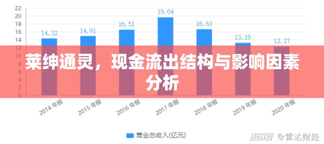 萊紳通靈，現(xiàn)金流出結構與影響因素分析