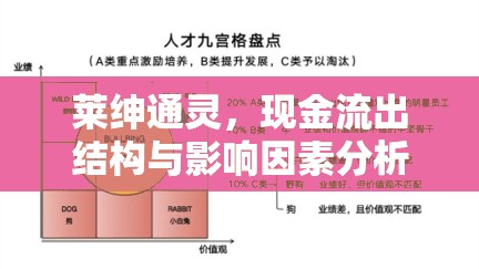 萊紳通靈，現(xiàn)金流出結構與影響因素分析
