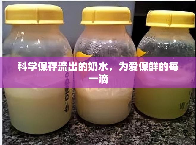 科學(xué)保存流出的奶水，為愛保鮮的每一滴