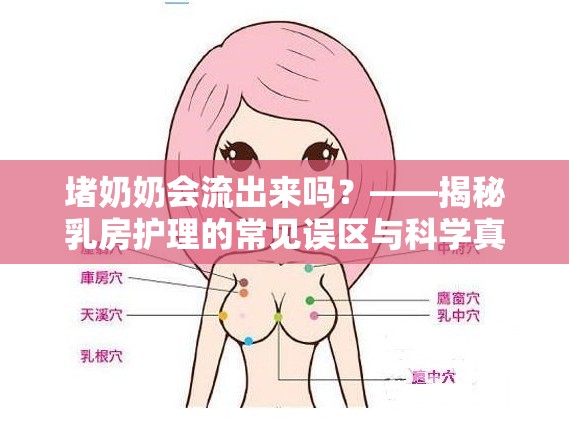 堵奶奶會流出來嗎？——揭秘乳房護理的常見誤區(qū)與科學真相